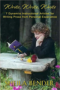 books by Sheila Bender Write Write Write